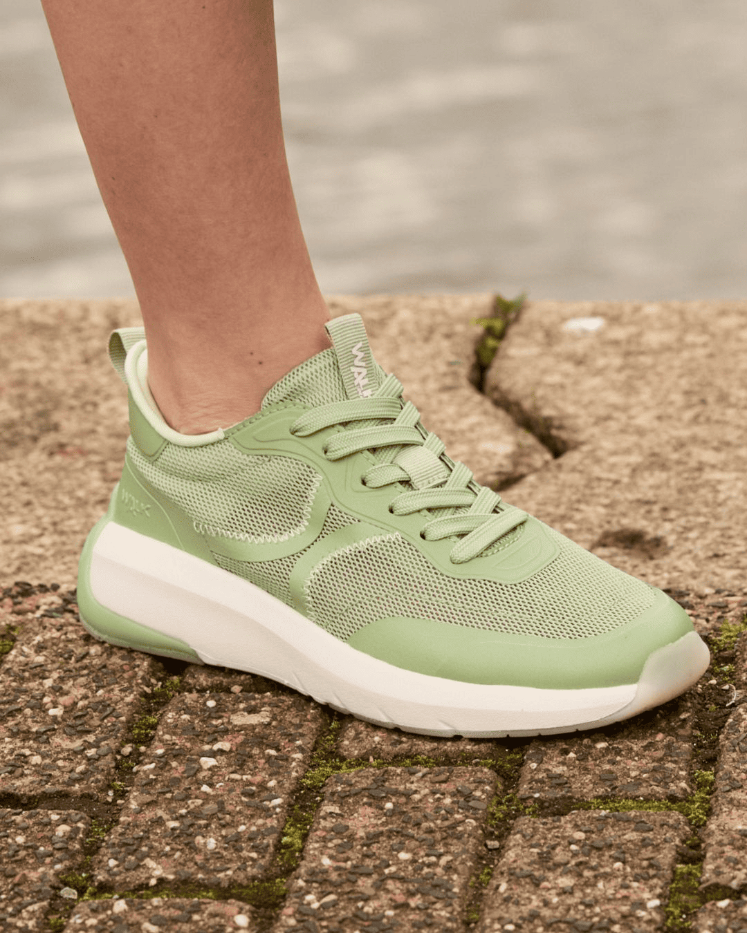 Sneakers donna Melluso Sneakers donna Melluso